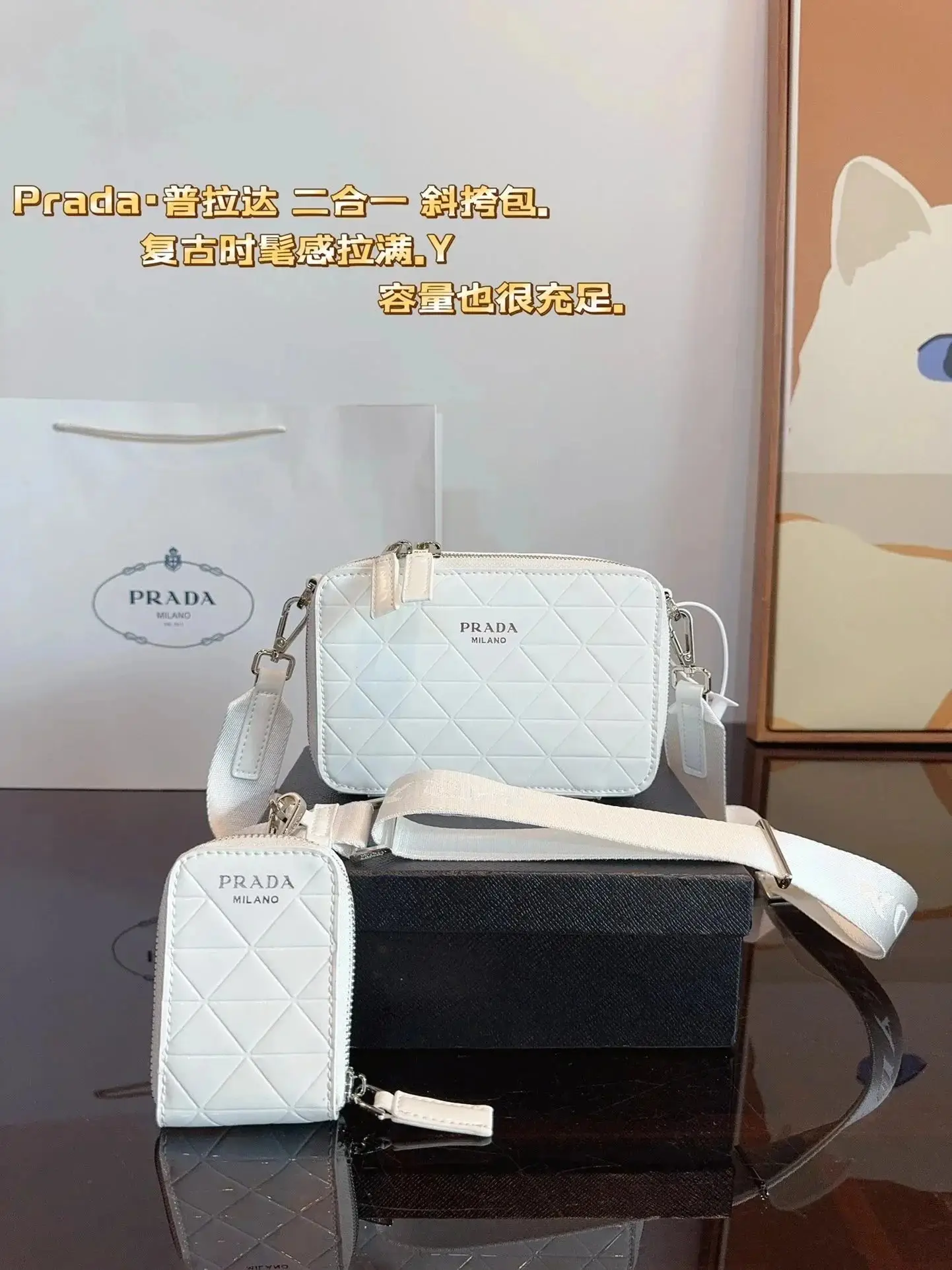 Prada Crossbody Bag vista 2