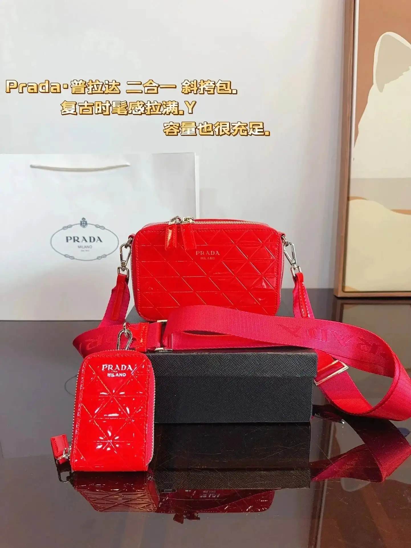 Prada Crossbody Bag vista 3